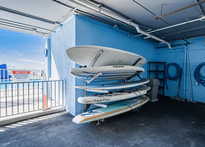 Dollar 306 Apartment *